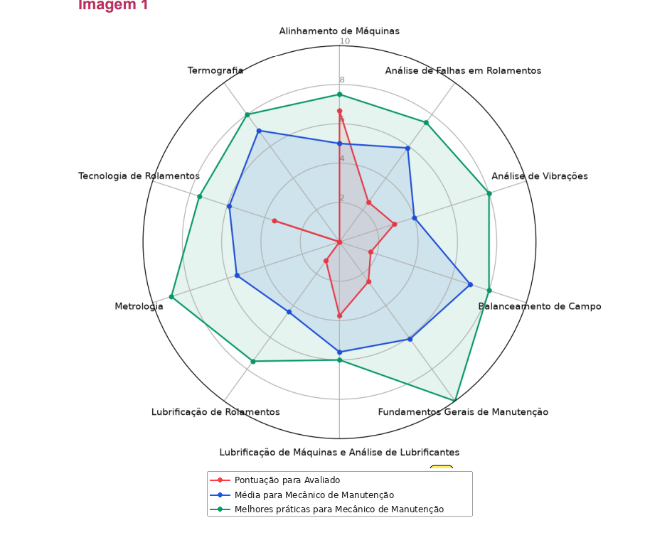 Exemplo de gráfico radar comparando a pontuação do avaliado com a média e as melhores práticas