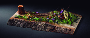 Cozinha sustentável