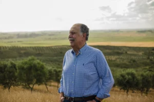 Das oliveiras, o elixir