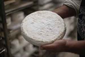 Em busca do Brie perfeito