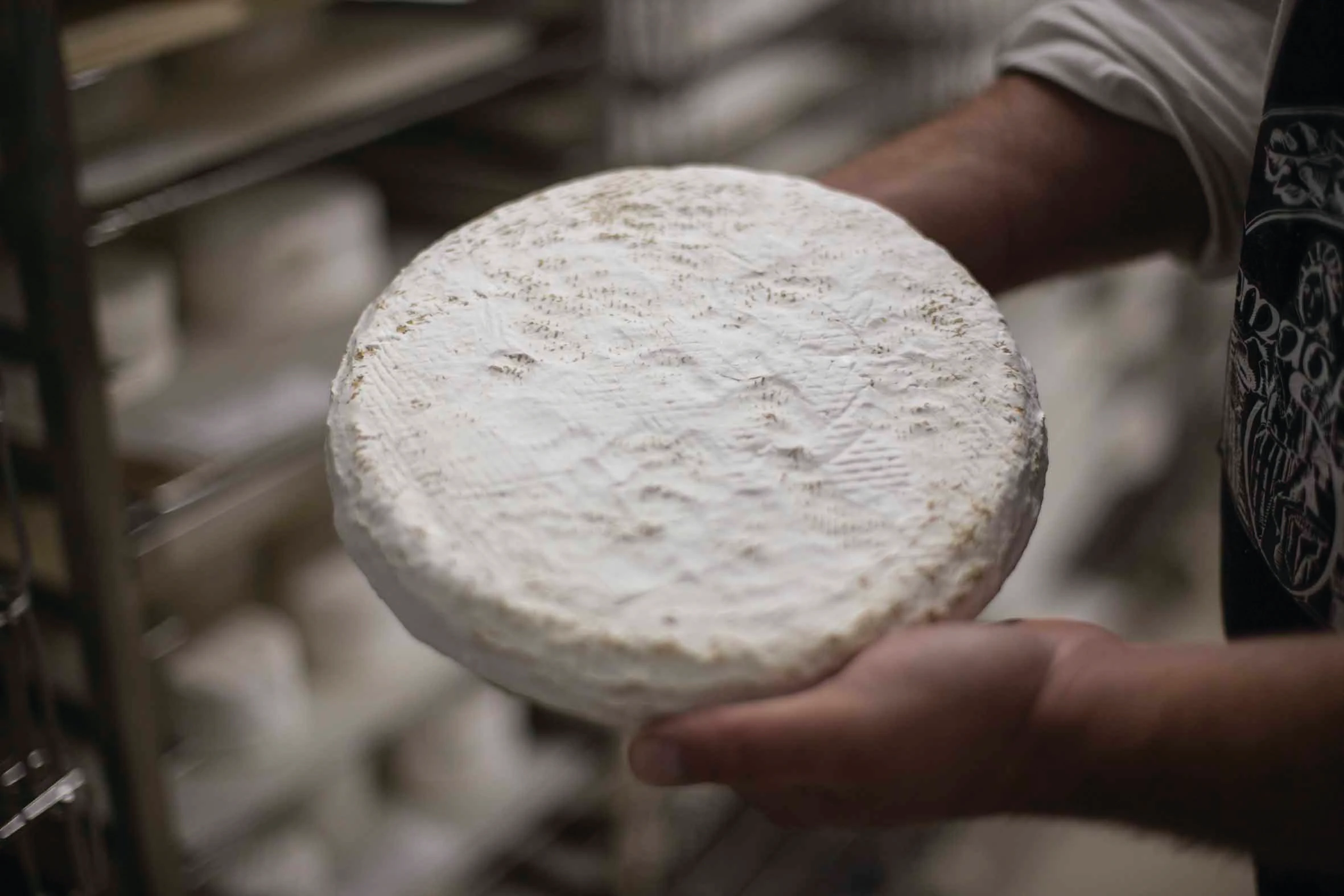 Em busca do Brie perfeito