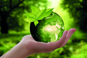 Capitalismo consciente