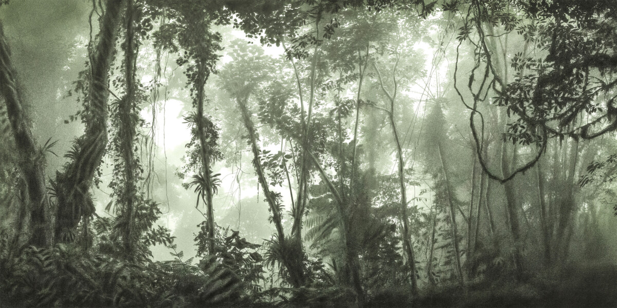 O retrato presente do passado 