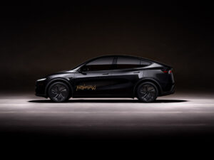 Como funcionam os ‘robotáxis’ da Tesla