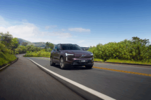 Garantia escandinava