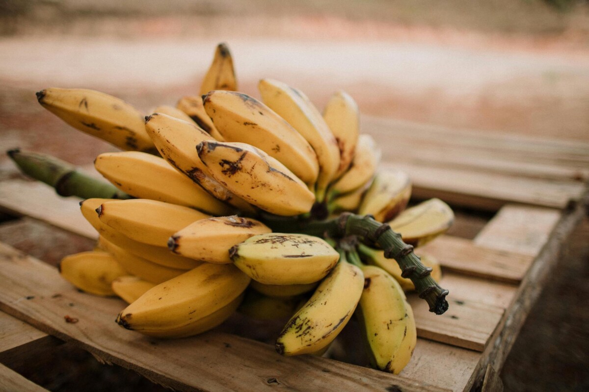 A marca por trás do Biocuero, o couro vegetal feito de casca de banana