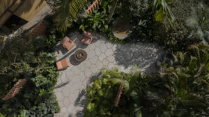 Estúdio Musgo e o projeto inédito ‘Jardim das Descobertas’