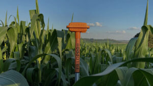 Clima sob controle: FieldPRO transforma agronegócio com monitoramento climático