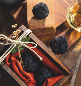 Da Europa ao Brasil: a jornada da trufa pela Monte Carlo Selection