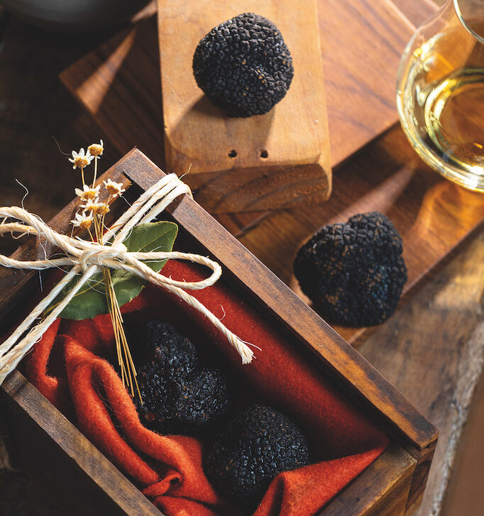 Da Europa ao Brasil: a jornada da trufa pela Monte Carlo Selection